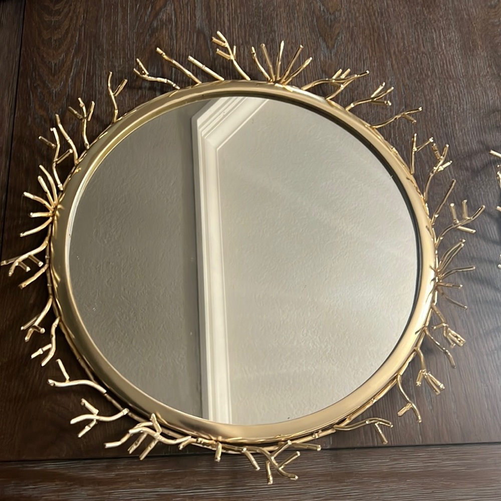 (X2) Mirror Trays